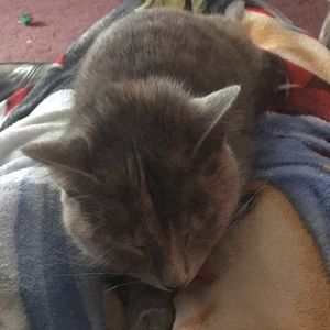 Meet your Posher, Elizabeth